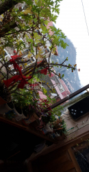 Пәтер 84 м² - Свищевский, Batumi, Грузия