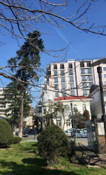 Пәтер 1-комн 45 m² - Давид Клдиашвили, Batumi