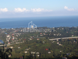 Жеке үй 6-комн 5000 m² - Мезгварта, Chakvi
