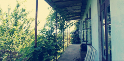 Жеке үй 3065 м² - Ағмашенебелі, Чакви, Грузия