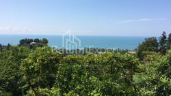 Жеке үй 4000 м² - Дэвид Агмашенебели, Kobuleti, Грузия