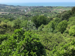 Жеке үй 2255 м² - Ағмашенебелі, Chakvi, Грузия