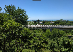 жер телімі 536 m² - Ағмашенебелі, Chakvi