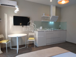 Пәтер 1-комн 33 m² - Шалва Инасаридзе, Batumi
