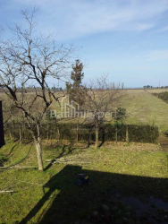 жер телімі 4260 m² - Дэвид Агмашенебели, Kobuleti