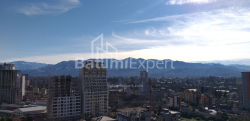 Пәтер 1-комн 31.3 m² - Шалва Инасаридзе, Batumi