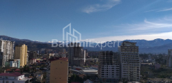 Пәтер 1-комн 31.3 m² - Шалва Инасаридзе, Batumi