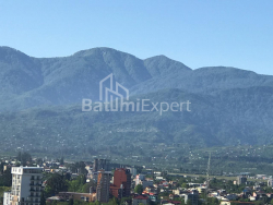 Пәтер 28.8 м² - Юсуф Кобаладзе, Batumi, Грузия