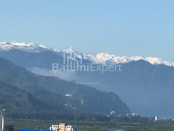 Пәтер 28.8 м² - Юсуф Кобаладзе, Batumi, Грузия