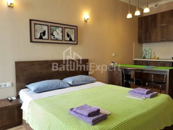 Пәтер 1-комн 29 m² - Зураба Горгиладзе, Batumi