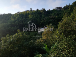 Жеке үй 4-комн 2501 m² - Акаки Шайнидзе, Khelvachauri