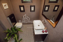 Жеке үй 280 м² - әуежай тас жолы, Batumi, Грузия
