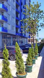 Пәтер 30 м² - Шериф Химшиашвили, Batumi, Грузия