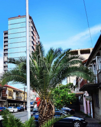 Пәтер 80 м² - Илья Чавчавадзе, Batumi, Грузия