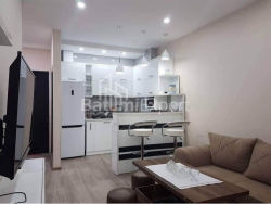 Пәтер 2-комн 46 m² - Илья Чавчавадзе, Batumi