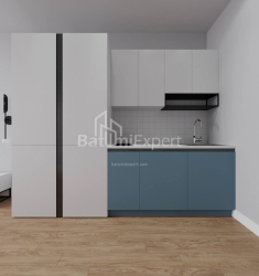 Пәтер 1-комн 30.3 m² - Шалва Инасаридзе, Batumi